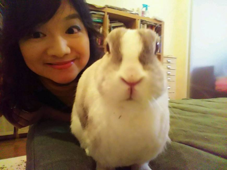 Japanese need to take more leave, starting with when beloved pets pass