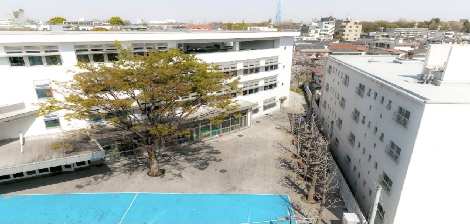 Oser s’opposer au licenciement abusif du Lycée Français International de Tokyo!